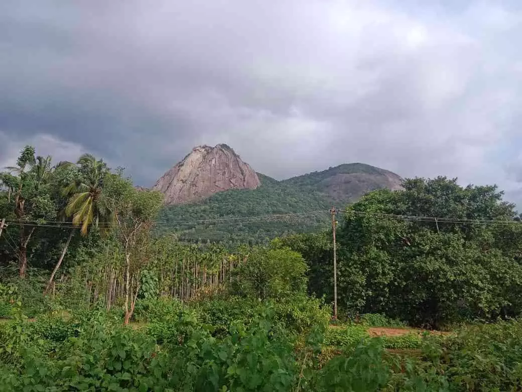 ഗ്രീൻഫീൽഡ് പാത: സ്ഥല കൈമാറ്റം രണ്ട് മാസത്തിനകം പൂർത്തിയാക്കും ഗ്രീൻഫീൽഡ് പാത: സ്ഥല കൈമാറ്റം രണ്ട് മാസത്തിനകം പൂർത്തിയാക്കും