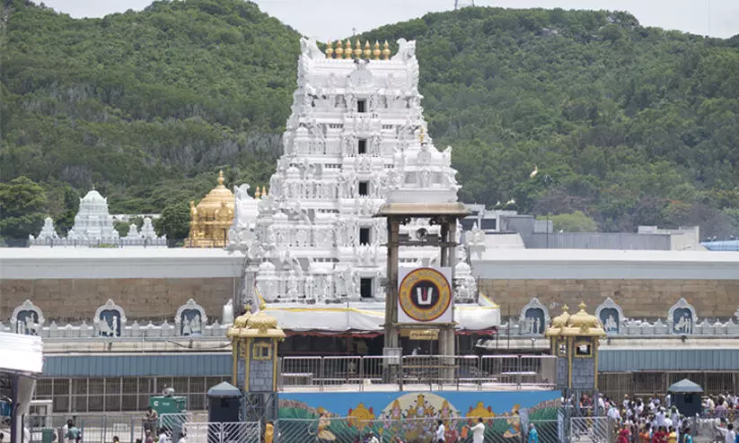 വന്യമൃഗ ആക്രമണം: തിരുപ്പതിയിൽ തീർത്ഥാടകർക്ക് മരവടി നൽകും; വഴിയിൽ സി.സി.ടി.വി കാമറകൾ സ്ഥാപിക്കും