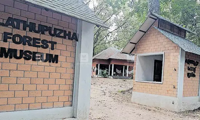 കുളത്തൂപ്പുഴ ഫോറസ്റ്റ് മ്യൂസിയം ഉദ്ഘാടനം വ്യാഴാഴ്ച കുളത്തൂപ്പുഴ ഫോറസ്റ്റ് മ്യൂസിയം ഉദ്ഘാടനം വ്യാഴാഴ്ച