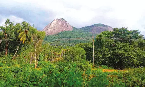ഗ്രീ​ൻ​ഫീ​ൽ​ഡ് പാ​ത; സ്ഥ​ലം കൈ​മാ​റ്റം ര​ണ്ട്   മാ​സ​ത്തി​ന​കം പൂ​ർ​ത്തി​യാ​ക്കും