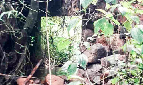 റോഡും തകർന്നു; മാങ്കുളം ജലവൈദ്യുതി പദ്ധതി വിസ്മൃതിയിലേക്ക്