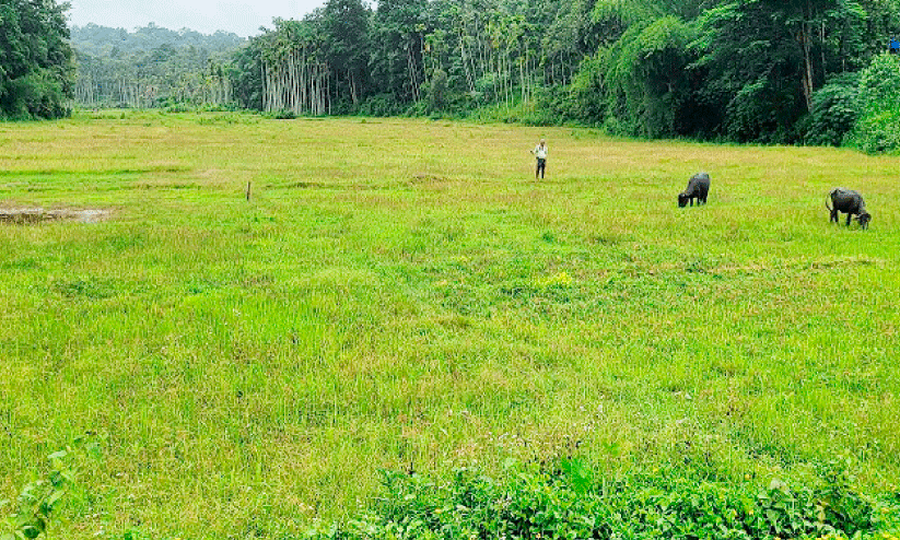 Farmers Day Farmers Day