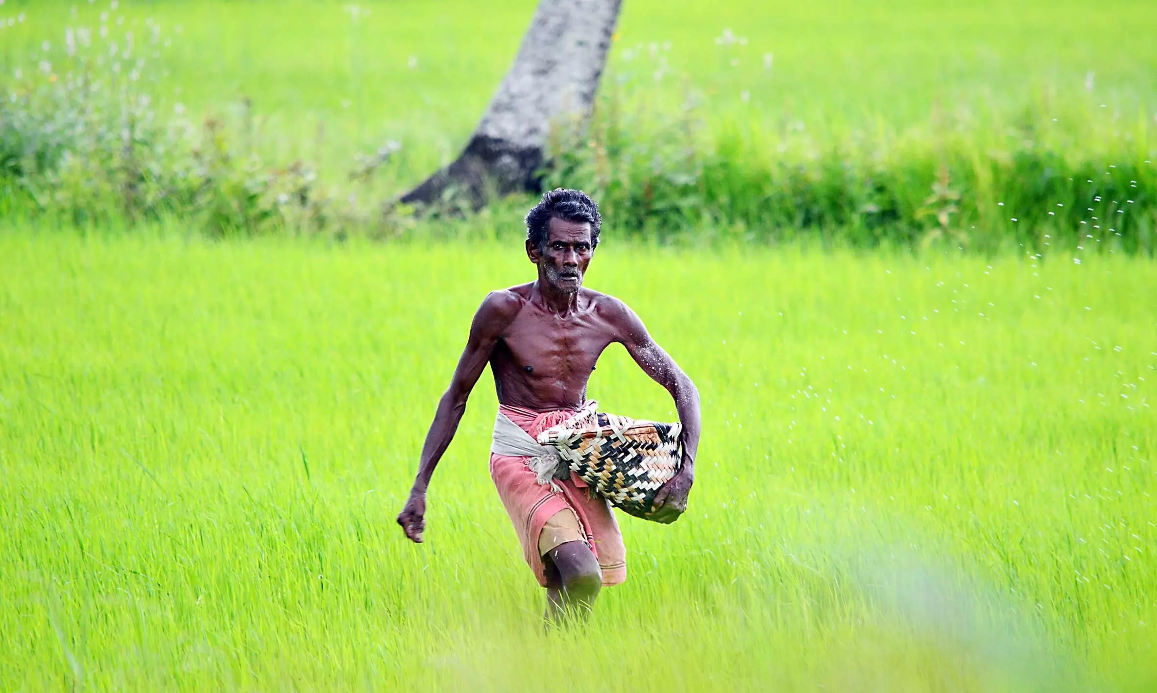 chingam 1 farmers day