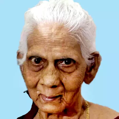 നാ​രാ​യ​ണി