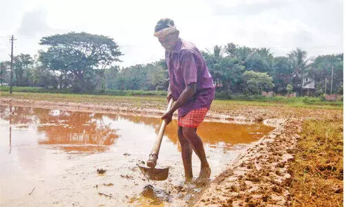 നി​റ​യു​മോ ക​ര്‍ഷ​ക പ​ത്താ​യം