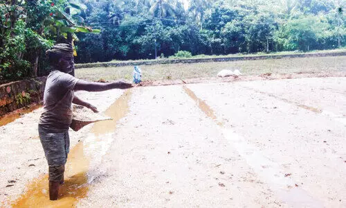 അ​നു​ഷ്ഠാ​ന ക​ല​ക്കൊ​പ്പം കൃ​ഷി​യു​മാ​യി കൃ​ഷ്ണ​ന്‍