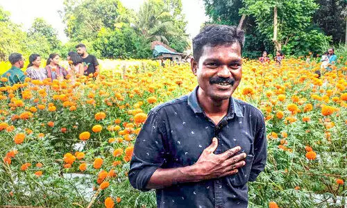 ചെണ്ടുമല്ലിത്തോട്ടത്തിലെ ‘വിജയകൃഷി