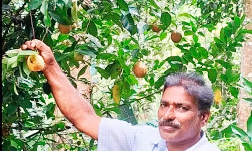 ഇ​ന്ന്​ ക​ർ​ഷ​ക ദി​നം; എൽദോസ്​ കൃഷി പരീക്ഷണങ്ങളിലാണ്...