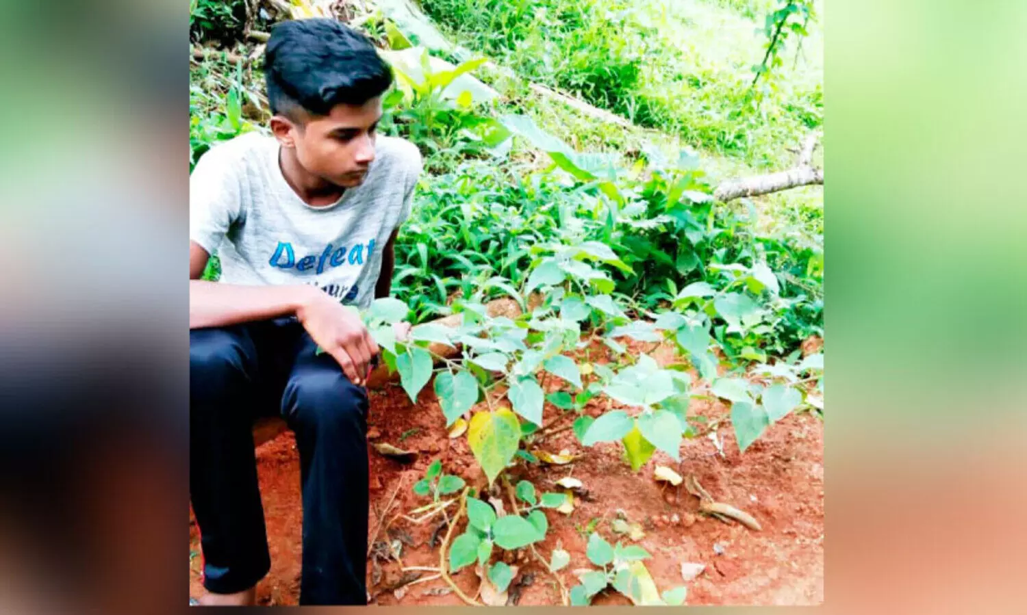 മണ്ണില്‍ ‘പൊന്‍പഴം’ വിളയിച്ച് ഡൊണാള്‍ഡ്
