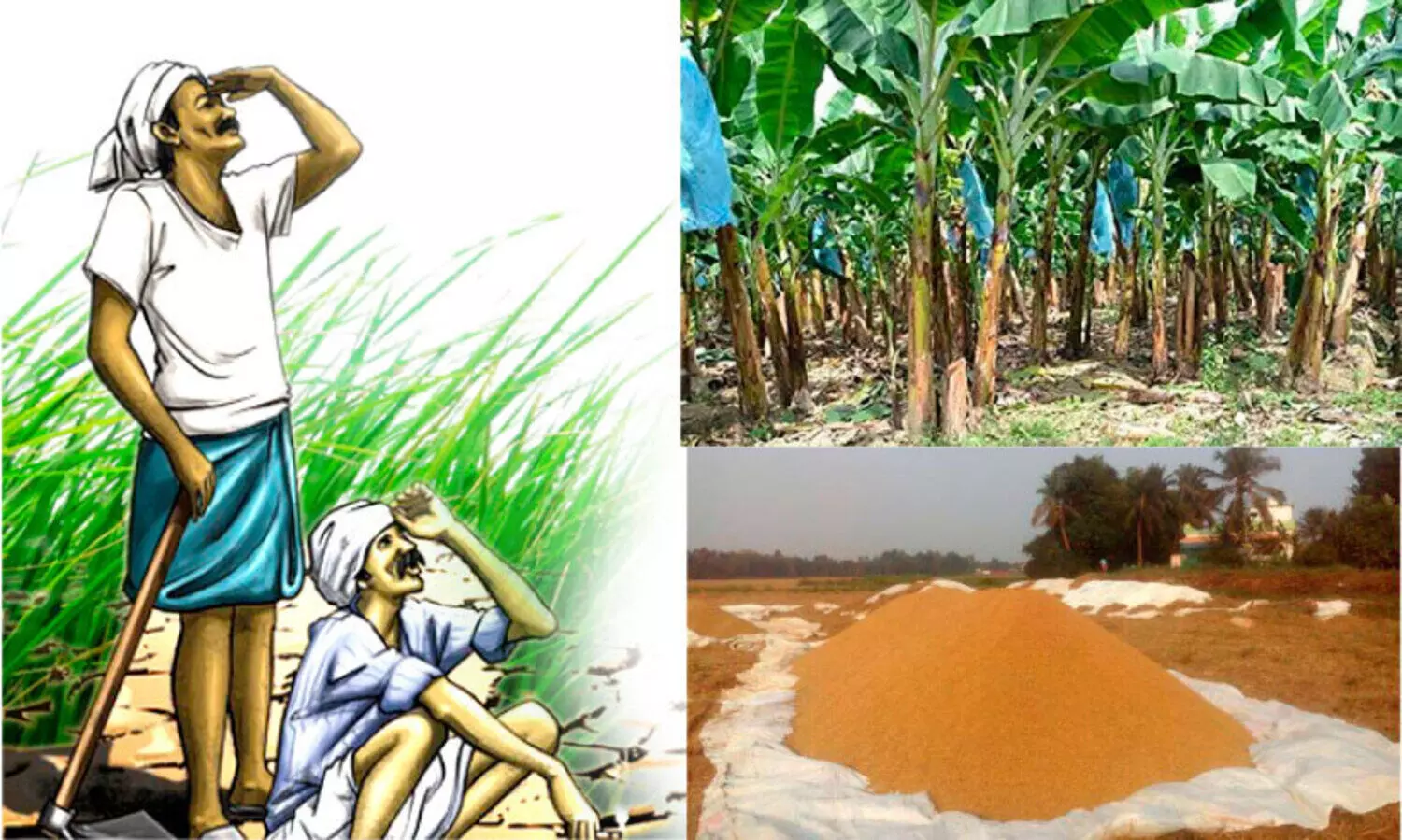 കണ്ണീര്​ ഉണങ്ങാതെ കർഷകൻ