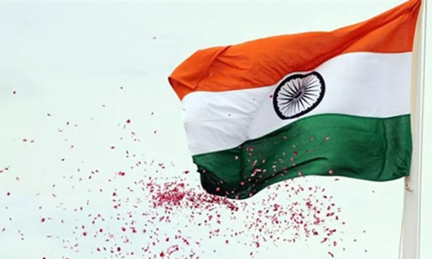 വിവിധ സംഘടനകൾ സ്വാതന്ത്ര്യ ദിനം ആഘോഷിച്ചു