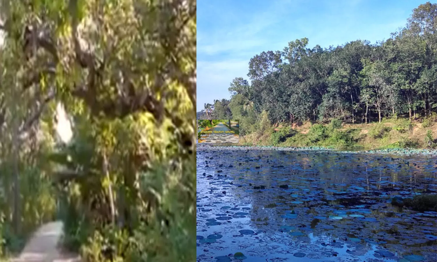 കരമന-ആഴാങ്കൽ നടപ്പാതയുടെ സൗന്ദര്യവൽക്കരണത്തിന് 15 കോടിയുടെ ഭരണാനുമതി
