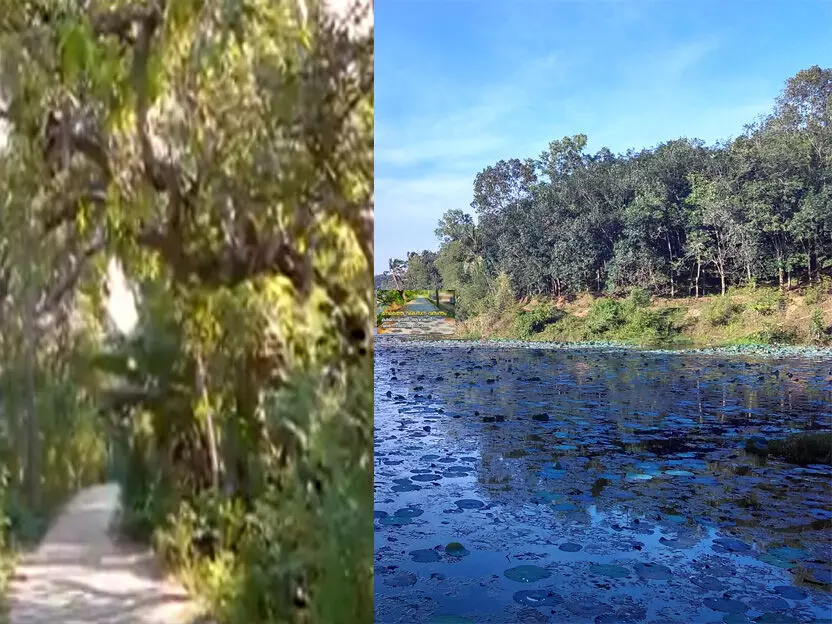 കരമന-ആഴാങ്കൽ നടപ്പാതയുടെ സൗന്ദര്യവൽക്കരണത്തിന് 15 കോടിയുടെ ഭരണാനുമതി കരമന-ആഴാങ്കൽ നടപ്പാതയുടെ സൗന്ദര്യവൽക്കരണത്തിന് 15 കോടിയുടെ ഭരണാനുമതി