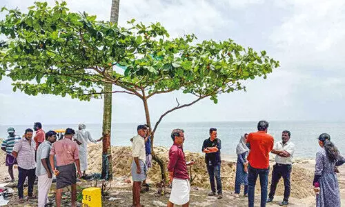 ജീലാനി നഗർ കടൽ തീരത്ത് ജിയോ ബാഗിടാനുള്ള നീക്കത്തിനെതിരെ പ്രദേശവാസികൾ