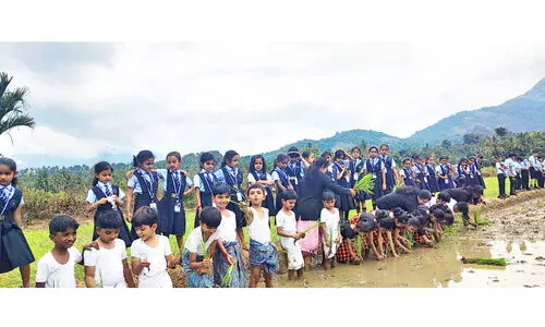 ഓർമപ്പെടുത്തലുമായി വീണ്ടുമൊരു കർഷകദിനം; പച്ചപ്പിനായി നാട് കൈകോർത്തു