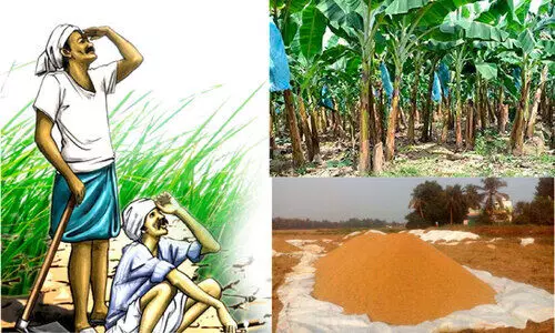 കണ്ണീര്​ ഉണങ്ങാതെ കർഷകൻ