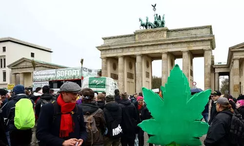 കഞ്ചാവ് ഉപയോഗം നിയമവിധേയമാക്കി ജർമനി; ജനങ്ങൾക്ക് കഞ്ചാവ് ചെടി വളർത്താനും അനുവാദം