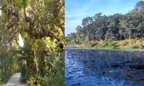 കരമന-ആഴാങ്കൽ നടപ്പാതയുടെ സൗന്ദര്യവൽക്കരണത്തിന് 15 കോടിയുടെ ഭരണാനുമതി