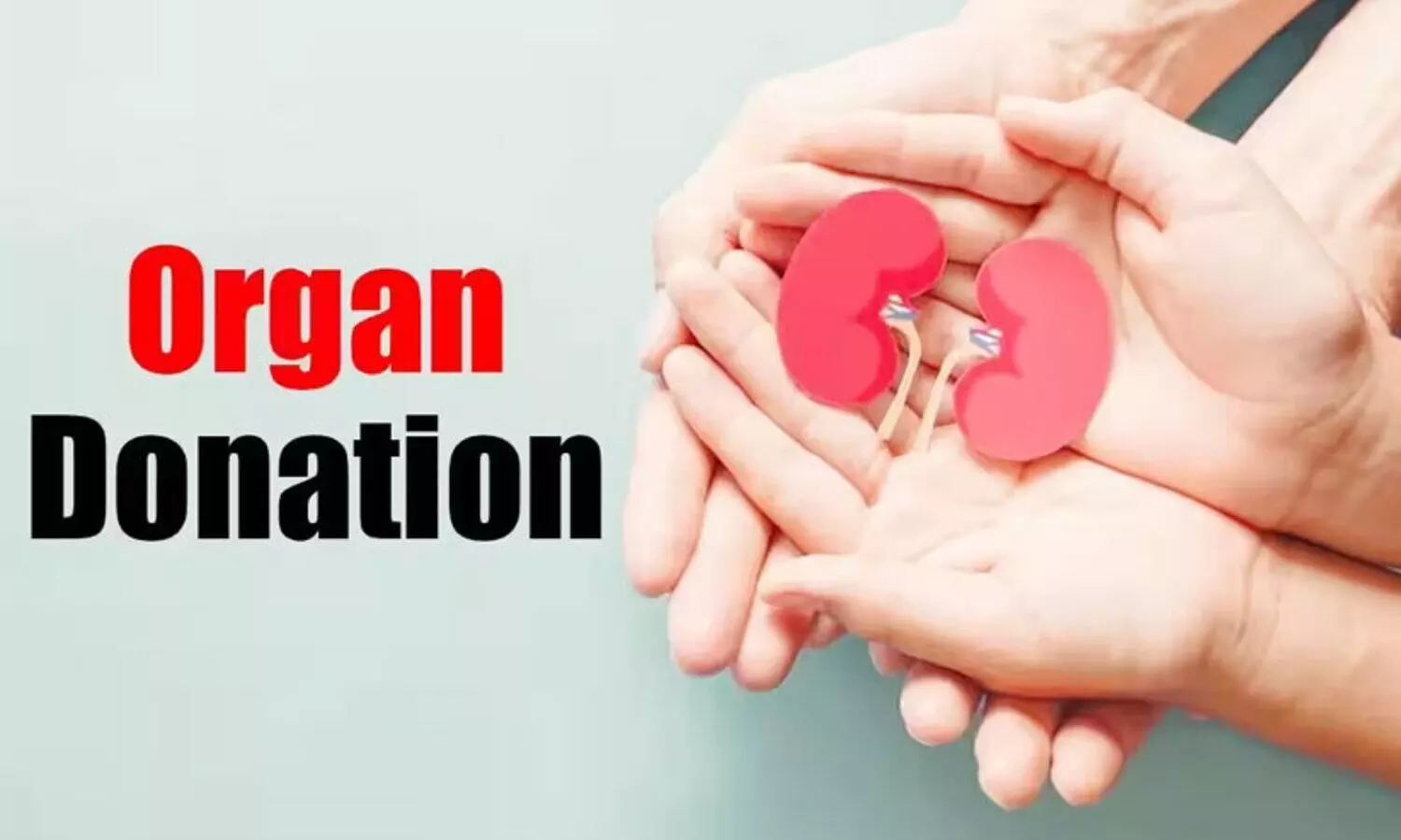 organ donation