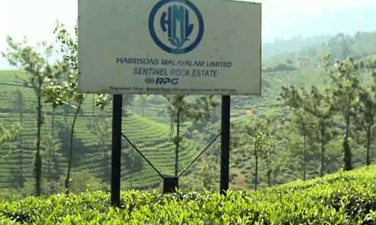 ഹാരിസൺസും റിയ റിസോർട്ടും നൽകിയ ഹരജി കോടതി തള്ളി