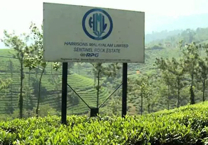 ഹാരിസൺസും റിയ റിസോർട്ടും നൽകിയ ഹരജി കോടതി തള്ളി ഹാരിസൺസും റിയ റിസോർട്ടും നൽകിയ ഹരജി കോടതി തള്ളി