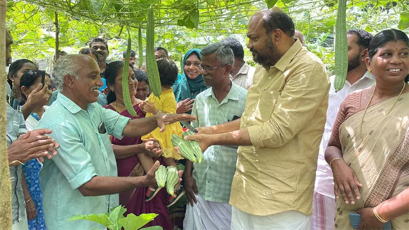 കൃഷിക്കൊപ്പം കളമശ്ശേരി സാധ്യമാക്കിയത് മണ്ഡലത്തിലെ കാർഷിക മുന്നേറ്റമെന്ന് പി. രാജീവ് കൃഷിക്കൊപ്പം കളമശ്ശേരി സാധ്യമാക്കിയത് മണ്ഡലത്തിലെ കാർഷിക മുന്നേറ്റമെന്ന് പി. രാജീവ്