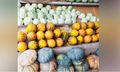 39 agricultural sector