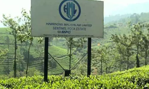 ഹാരിസൺസും റിയ റിസോർട്ടും നൽകിയ ഹരജി കോടതി തള്ളി