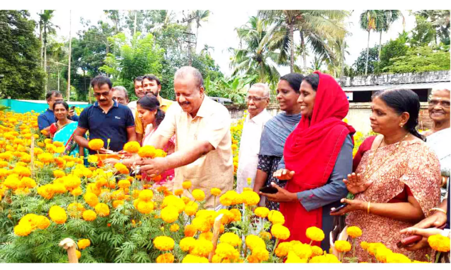 ചെണ്ടുമല്ലി വസന്തം വിരിഞ്ഞു