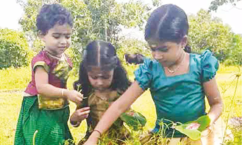 പൂവേ പൊലി പൂവേ... പൂവേ പൊലി പൂവേ...