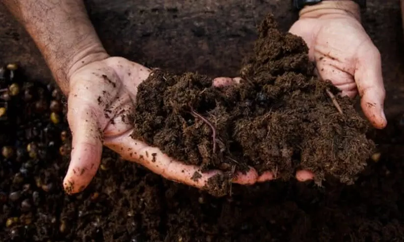 ജൈവമാലിന്യത്തിൽനിന്ന് വളം നിർമാണ യൂനിറ്റുമായി പേരാവൂർ