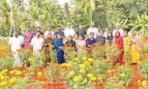 പൂവേ പൊലി പൂവേ...