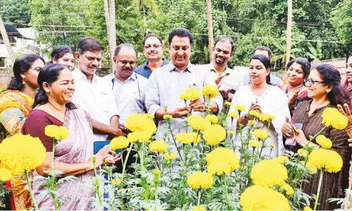 തേക്കിൻ നാട്ടിൽ ഓണപ്പൂക്കൾ വിരിഞ്ഞു