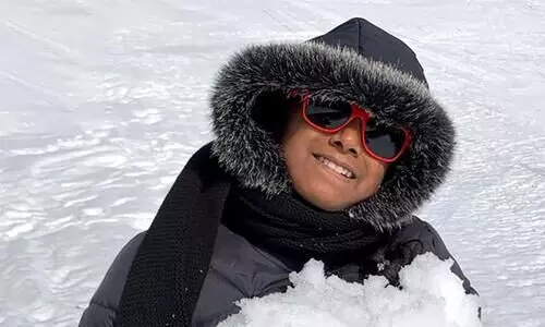 armenian snow flowers