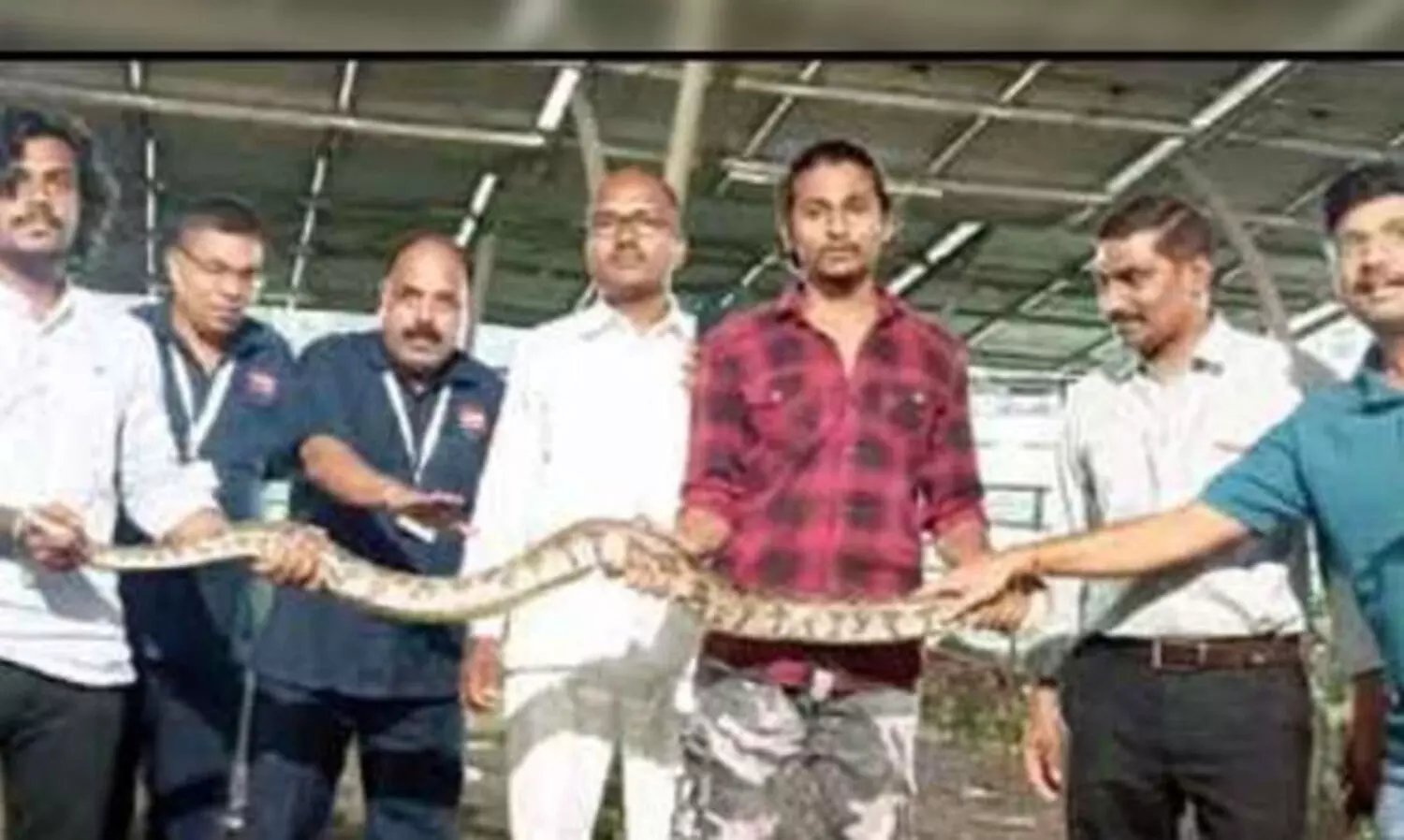 ആശുപത്രി വളപ്പിൽനിന്ന് പെരുമ്പാമ്പിനെ പിടികൂടി