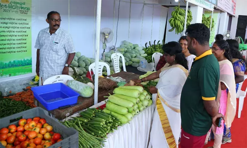 കൃഷിക്കൊപ്പം കളമശ്ശേരി കാർഷികോത്സവം: പ്രദർശന വിപണന സ്റ്റാളുകൾ സജീവമായി