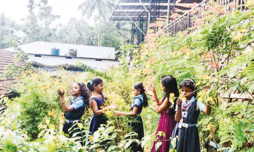 ഓ​ണ​ക്കാ​ല​ത്തെ നി​റ​ക്കാ​ഴ്ച​യാ​യി നെ​ടി​യി​രു​പ്പി​ലെ ശ​ല​ഭോ​ദ്യാ​നം