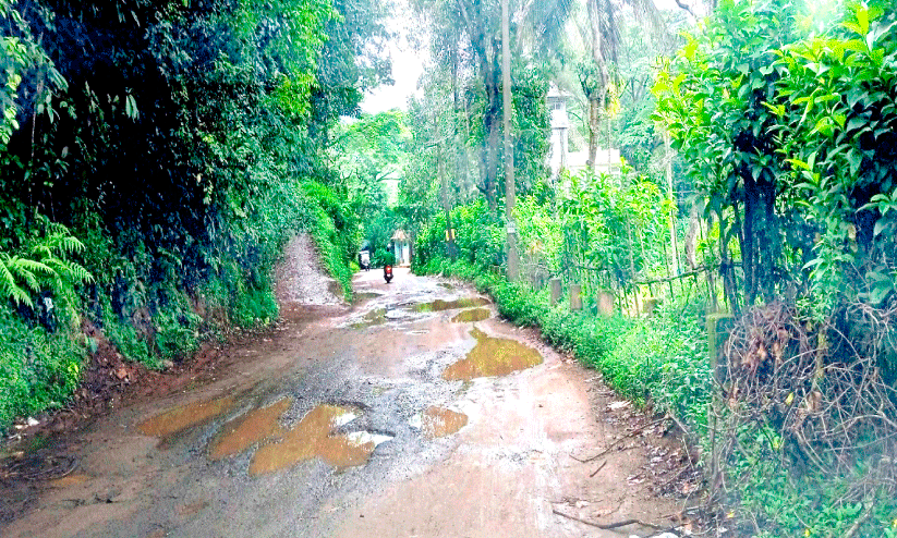 Dilapidated road