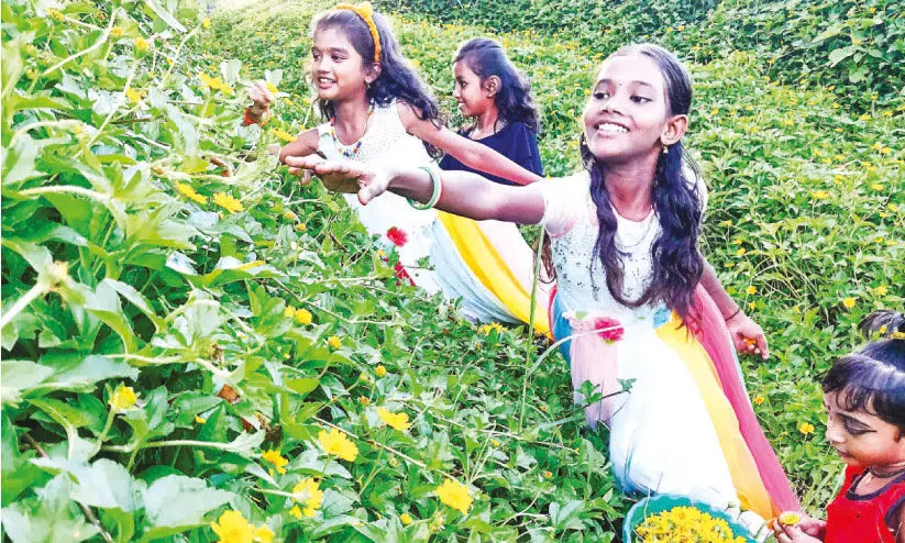 ക​ട​ക​ളി​ൽ തീ​വി​ല; നാ​ട​ൻ പൂ​ക്ക​ളാ​ണ് താ​രം
