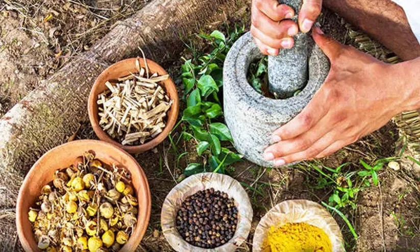 പ്രകൃതിചികിത്സ: അനുമതി യോഗ്യത ഉള്ളവർക്ക് മാത്രമെന്ന് സർക്കാർ പ്രകൃതിചികിത്സ: അനുമതി യോഗ്യത ഉള്ളവർക്ക് മാത്രമെന്ന് സർക്കാർ