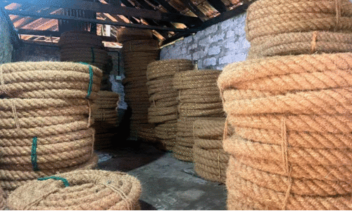 ഓണത്തിന് കമ്പവലി തകർക്കും, കയർമേഖലയും