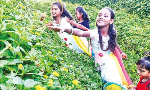 ക​ട​ക​ളി​ൽ തീ​വി​ല; നാ​ട​ൻ പൂ​ക്ക​ളാ​ണ് താ​രം