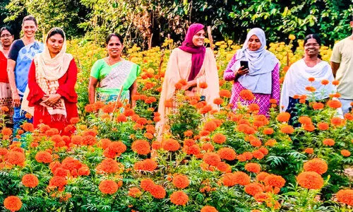 കോട്ടുവള്ളിയിൽ പൂക്കാലം...
