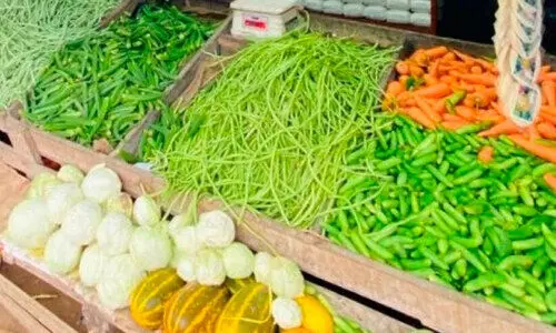 പച്ചക്കറി വരവായി; വിപണി ഉണരുന്നു