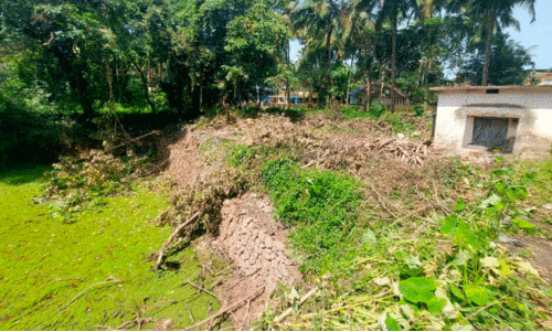 Kadiyamkulam water source