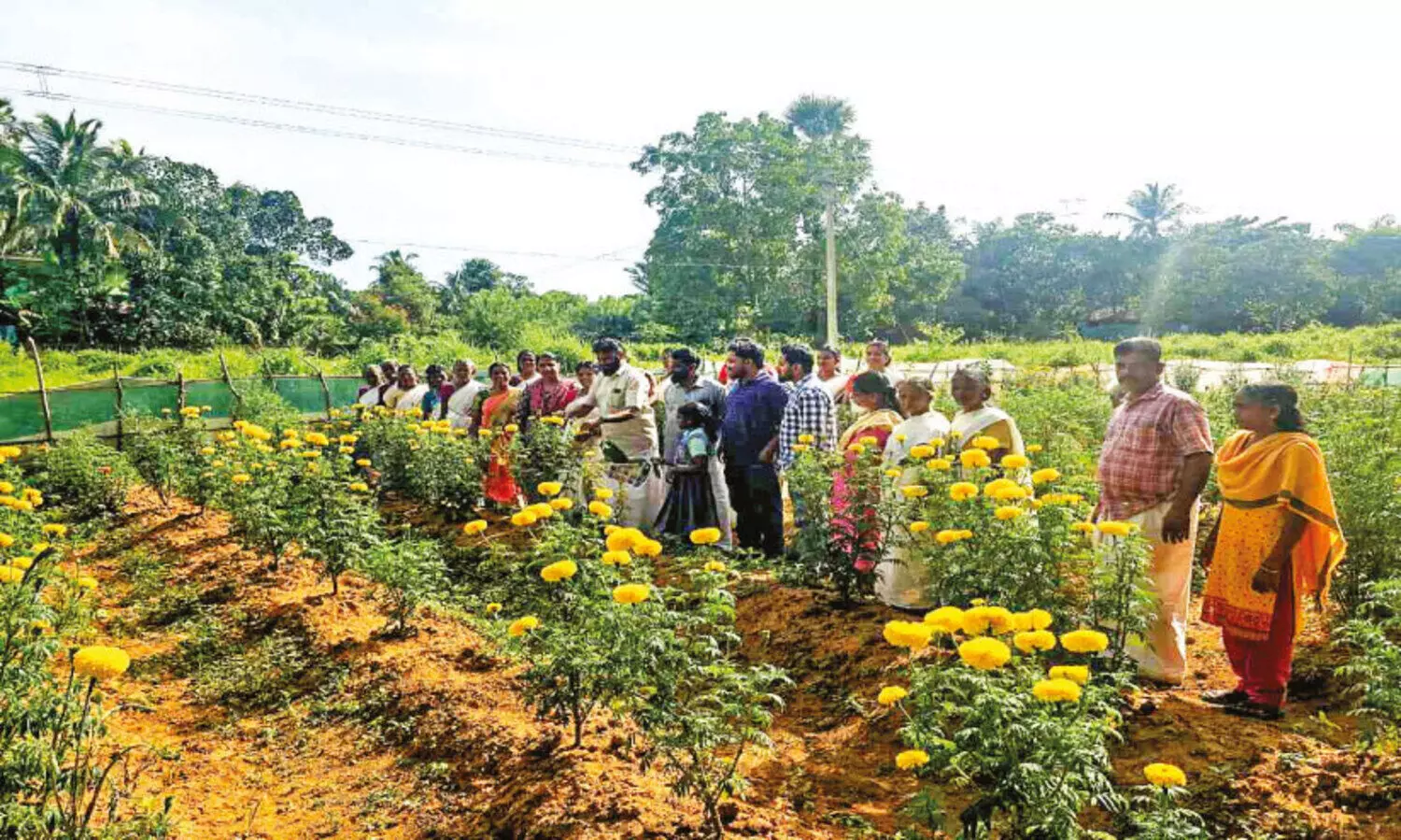 ഓണപ്പൂവേ...പൂവേ...പൂവേ...