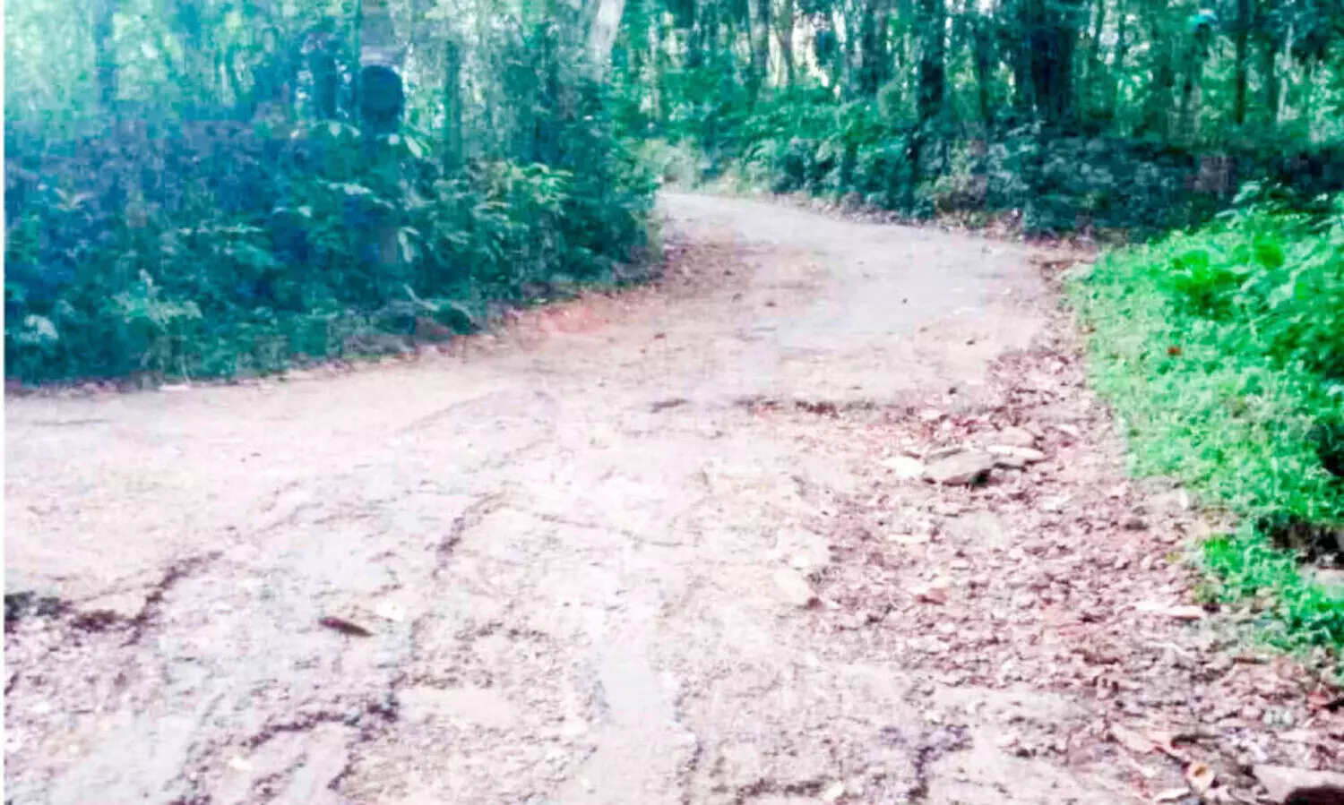 പത്തനാട്-നൂലുവേലി-ചൂരക്കുന്ന് റോഡ് തകർച്ചയിൽ