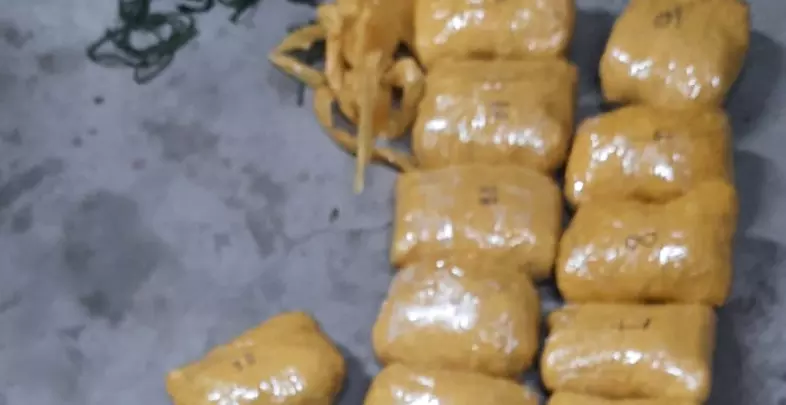 30 കിലോ മയക്കുമരുന്നുമായി രണ്ട് പാകിസ്താൻ കള്ളക്കടത്തുകാർ പിടിയിൽ