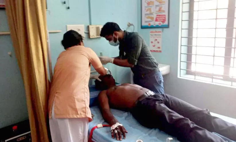 റെയ്ഡിനെത്തിയ എക്സൈസ് ഉദ്യോഗസ്ഥർക്ക് കടന്നൽ കുത്തേറ്റു റെയ്ഡിനെത്തിയ എക്സൈസ് ഉദ്യോഗസ്ഥർക്ക് കടന്നൽ കുത്തേറ്റു