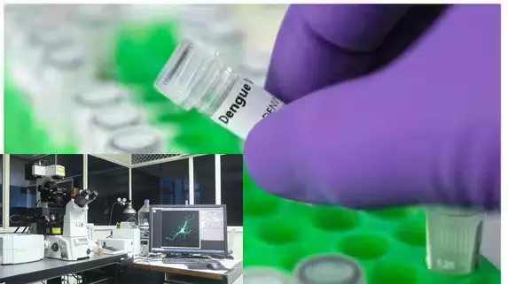 ഉയര്‍ന്ന അന്തരീക്ഷ താപനിലയില്‍ വളരുന്ന ഡെങ്കി വൈറസ് മാരകമാകാമെന്ന് ആർ.ജി.സി.ബി പഠനം